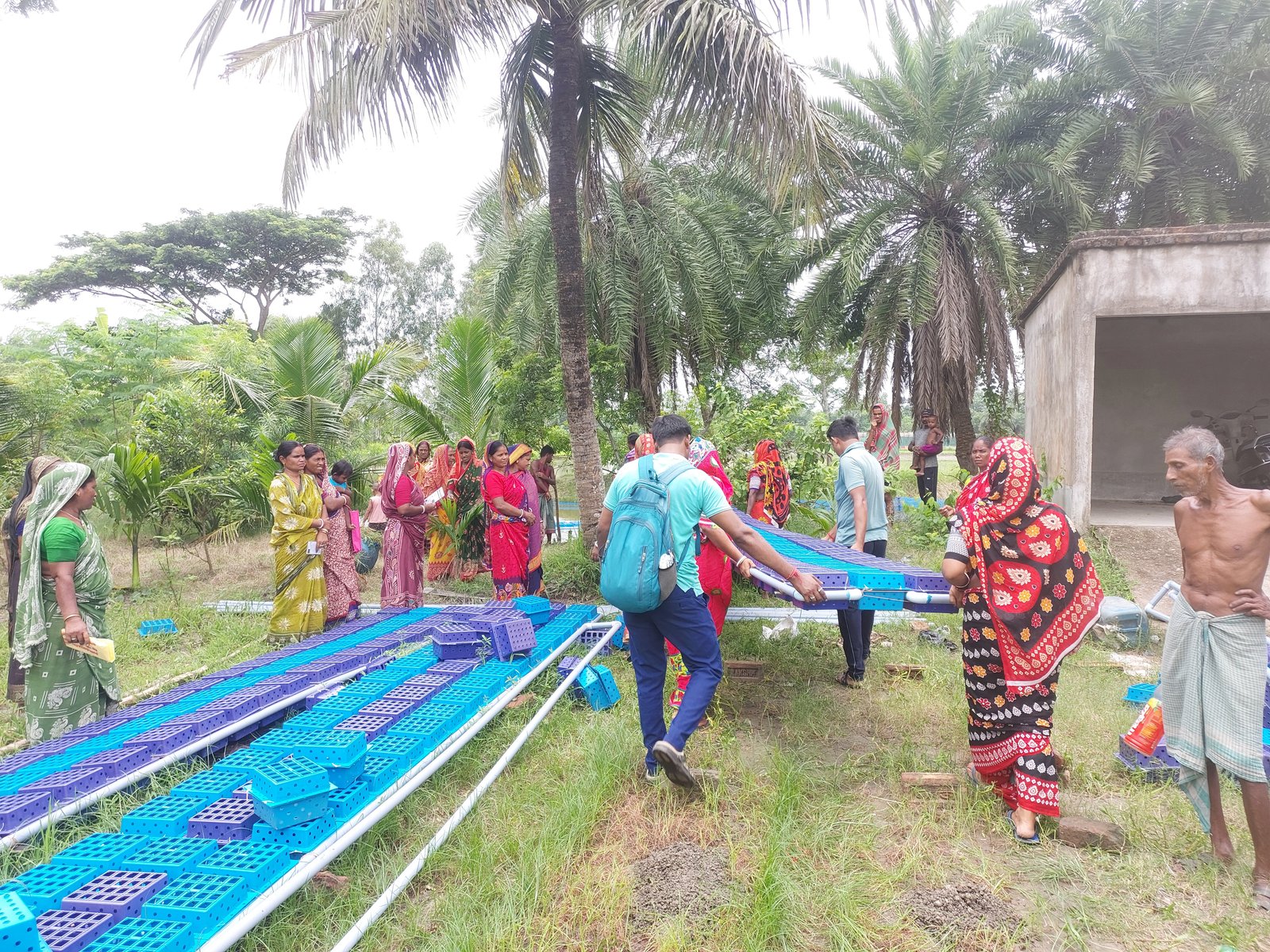 Women working with aquaculture enclosures at a pond