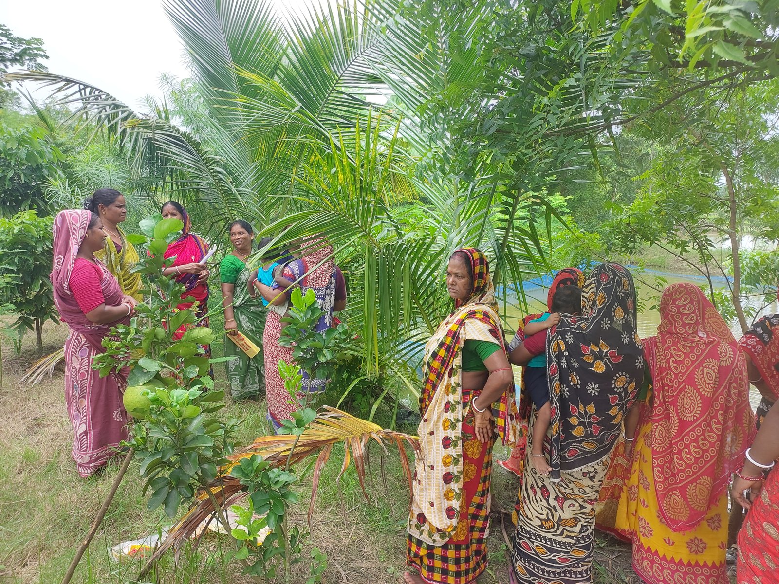 Women tending a community garden